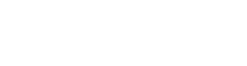 Software Original